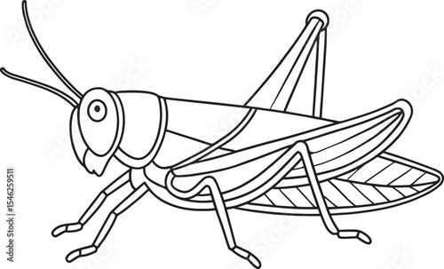 Grasshopper insect coloring activity sheet