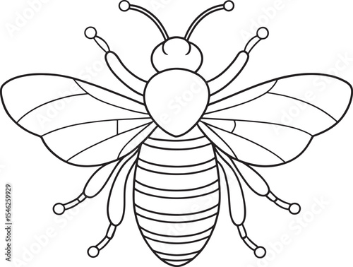 Honeybee bug worksheet for kids activities