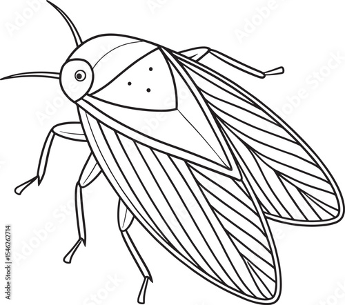 Leafhopper nature worksheet for coloring kids