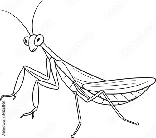 Praying mantis bug worksheet for children