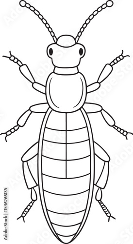 Rove beetle insect coloring fun for toddlers
