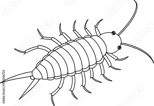 Silverfish kids coloring activity worksheet