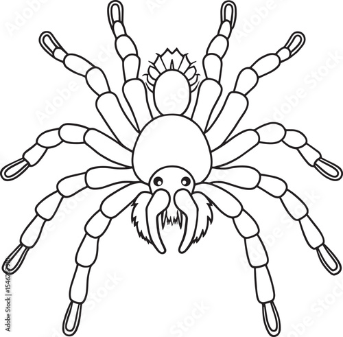 Tarantula learning worksheet for bold kids