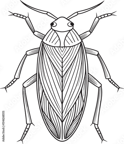 Water boatman preschool insect illustration