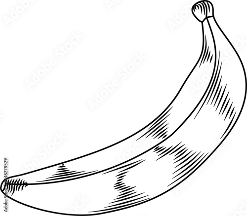 Banana with skin detail hand drawn ink sketch engraving style vector