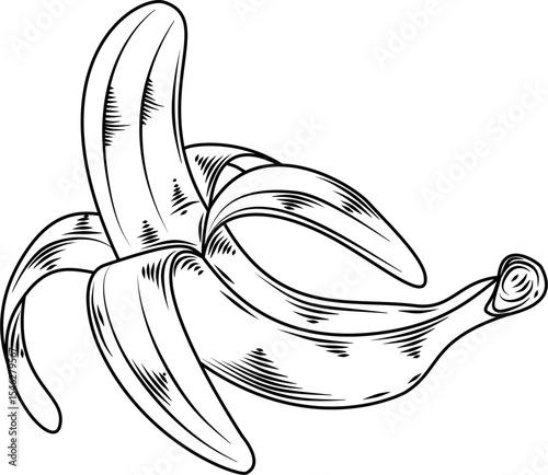 Single peeled banana hand drawn ink sketch engraving style vector