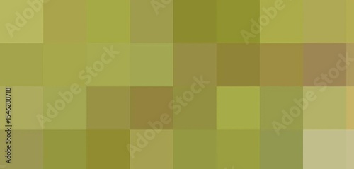 Isolated acacia branch with sharp thorns, intricate detail, desert, white background