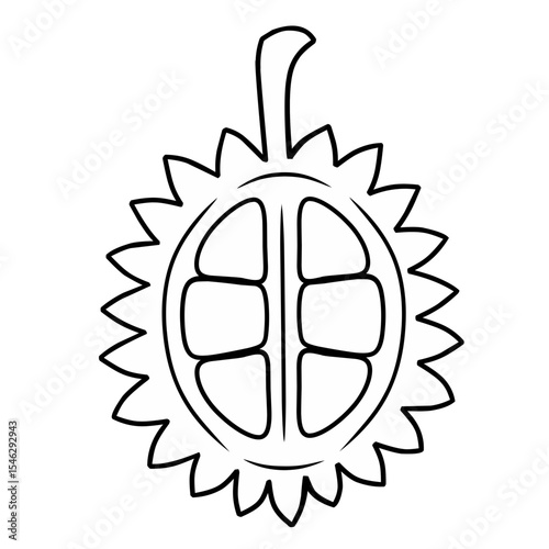 Line illustration of a durian