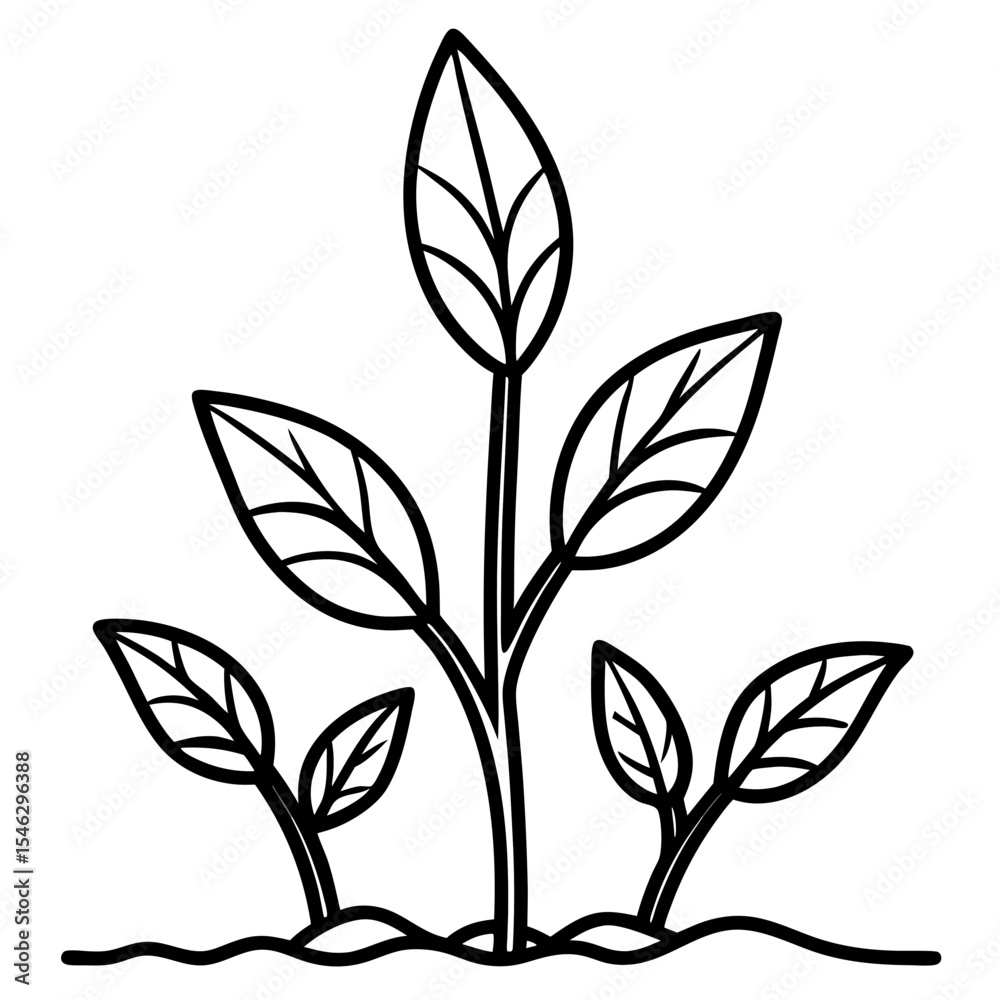Obraz premium Seedling Sprout Line Art Vector