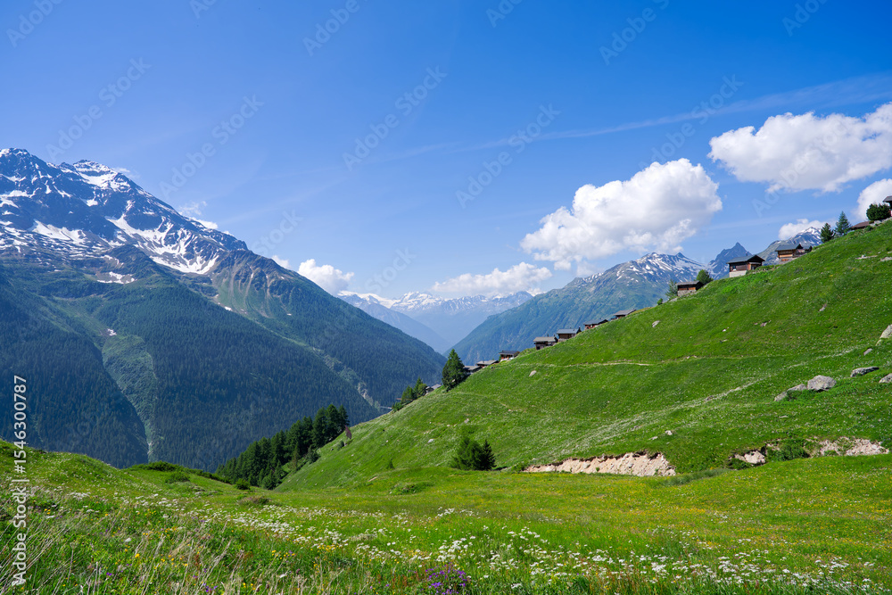 Fototapeta premium Beautiful view with scenic landscape in the Swiss Alps at Lötschental Valley at Lauchernalp on a sunny late spring noon. Photo taken June 19th, 2025, Wiler, Switzerland.