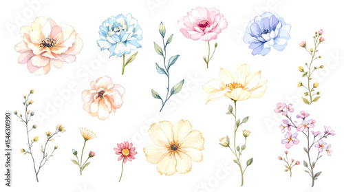 Set of spring flowers, set of flowers, set of colorful flowers Watercolor
