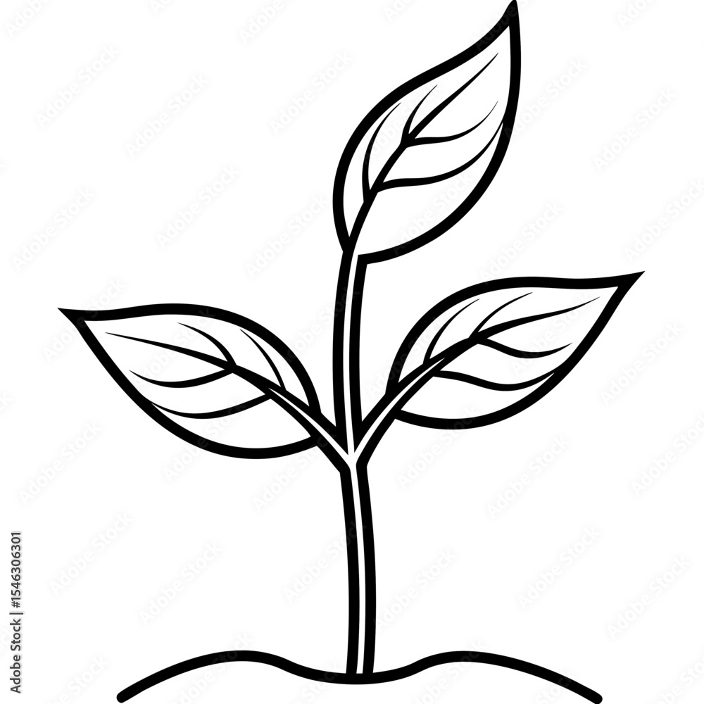Obraz premium Tiny Seedling Outline Vector