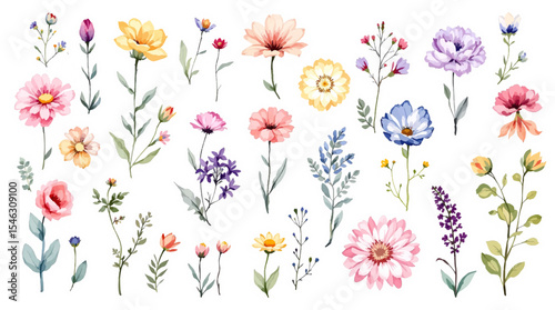 Wallpaper Mural Spring flowers collage, Watercolor floral background, set of floral elements Torontodigital.ca