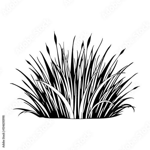 A dense black and white illustration of tall grass and plant shoots with budding tops, creating a natural and organic feel