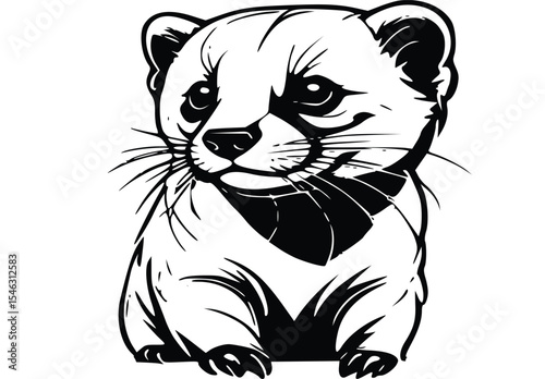vector illustration of a Ferret 