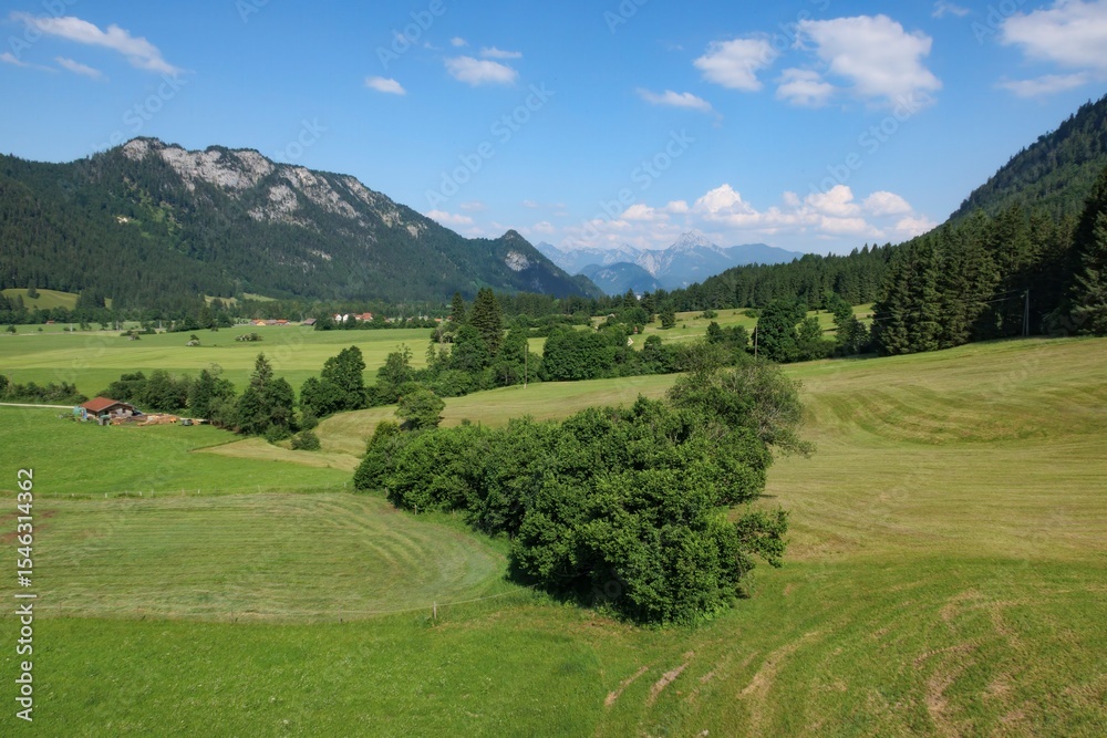 Fototapeta premium Lush green landscape in the Füssen region of Germany showcases majestic mountains under a clear blue sky