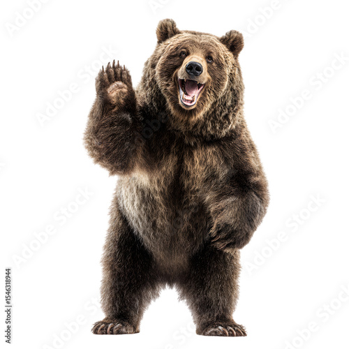 full-body standing grizzly bear, transparent isolated background ,PNG