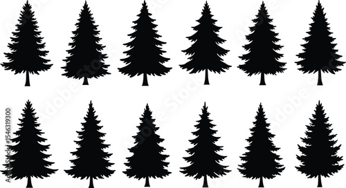 Vector pine tree silhouettes, evergreen tree set, forest elements for nature design, black fir tree collection, conifer vector illustration pack