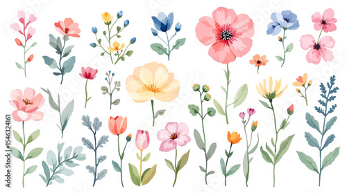 Set of spring flowers, set of flowers