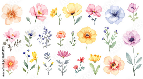 Set of spring flowers, set of flowers