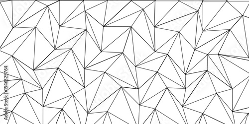 Abstract elegant background black line texture. Abstract black geometric overlapping hexagon pattern abstract futuristic background design. data concept. vector illustration.	