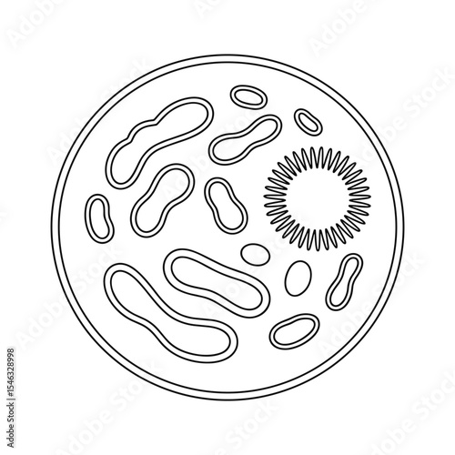 Monochrome Outline Illustration of Cell with Organelles for Educational Purposes