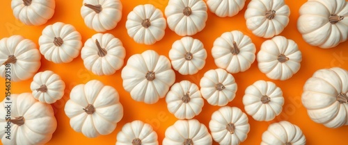 White pumpkins arranged in a creative flat lay composition on a vibrant orange background,  autumn,  colorful