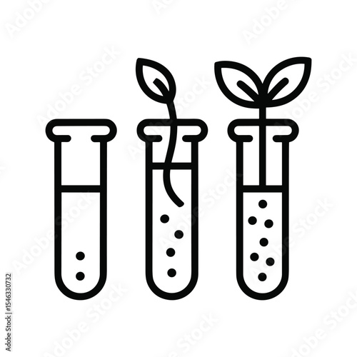 Plant Growth Stages in Test Tubes: Science Experiment