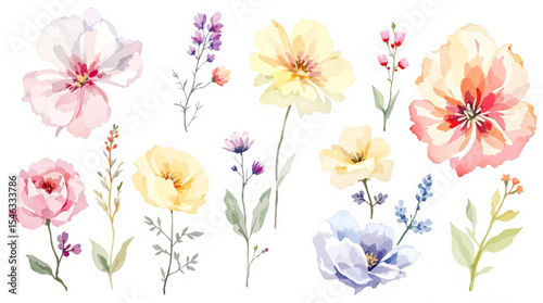 Watercolor flowers background, set of flowers