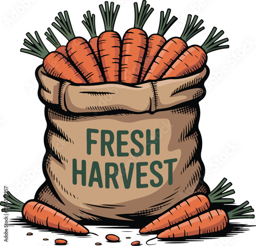 Fresh Harvest Carrots Transparent isolated