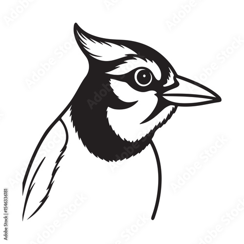 Blue Jay – Intelligent Blue-Feathered Bird Known for Its Beauty and Voice