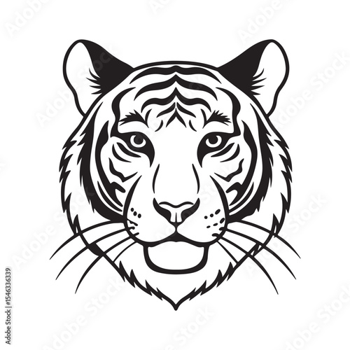 Siberian Tiger – Powerful Endangered Big Cat of the Russian Far East