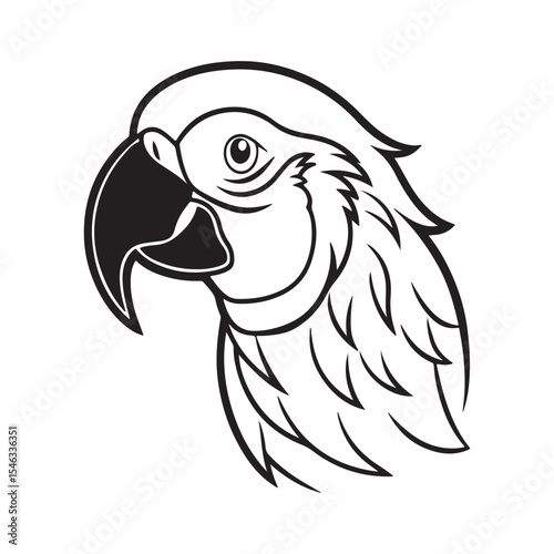 Scarlet Macaw – Colorful Tropical Bird and Icon of Exotic Jungle Wildlife