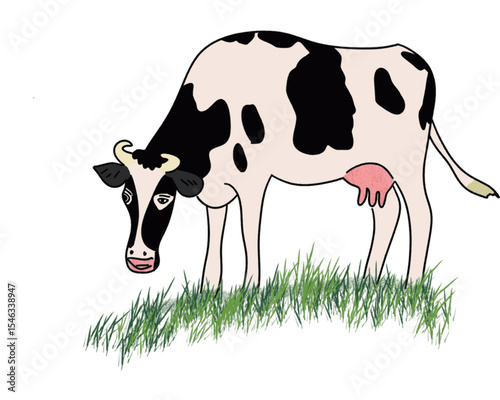 Vector cartoon black and white cow isolated on white background, Dairy products, farming. Vector drawing of a cow eating grass.