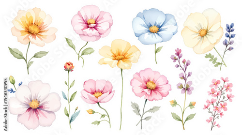 Wallpaper Mural Set bouquet of flowers isolated Torontodigital.ca