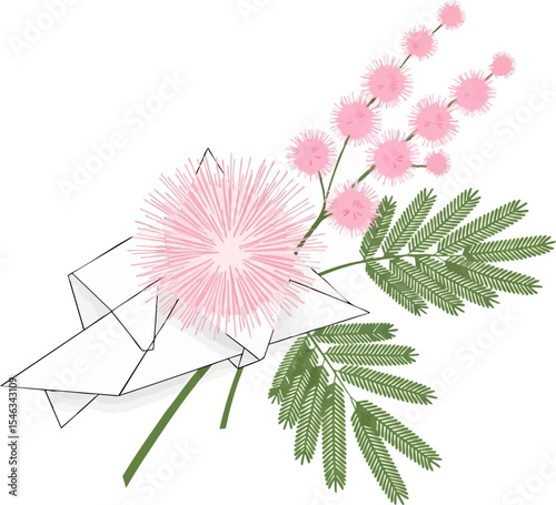 Mimosa Puff