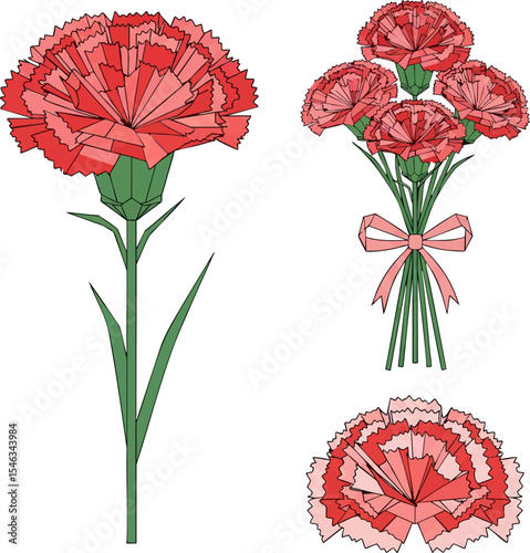 Carnation Presentation