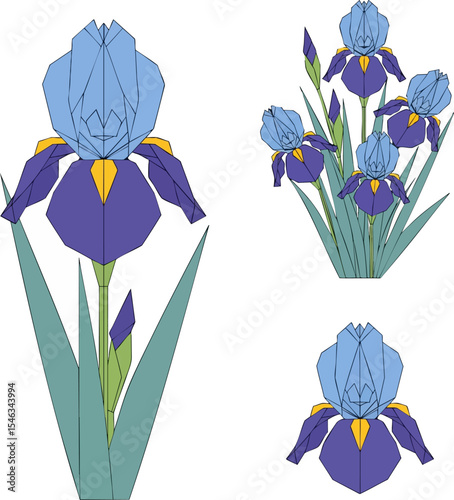 Iris Collection