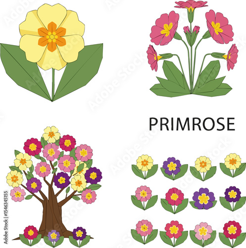 Primrose First