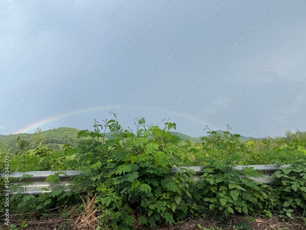 Obraz premium rainbow over the river