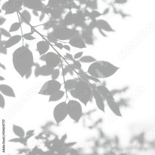 shadow overlay effect. Gray shadow of leaves isolated on white background. Plant foliage leaf shadow light effect. Mockup Blurred tree branch shadow. Ideal for summer spring design elements PNG