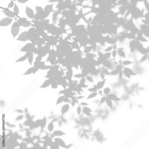 shadow overlay effect. Gray shadow of leaves isolated on white background. Plant foliage leaf shadow light effect. Mockup Blurred tree branch shadow. Ideal for summer spring design elements PNG