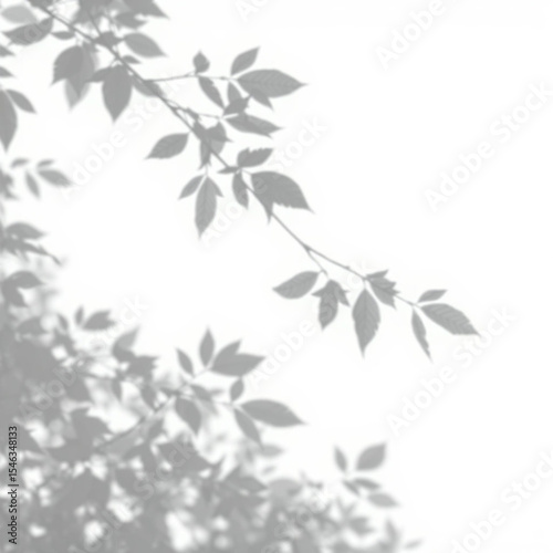 shadow overlay effect. Gray shadow of leaves isolated on white background. Plant foliage leaf shadow light effect. Mockup Blurred tree branch shadow. Ideal for summer spring design elements PNG