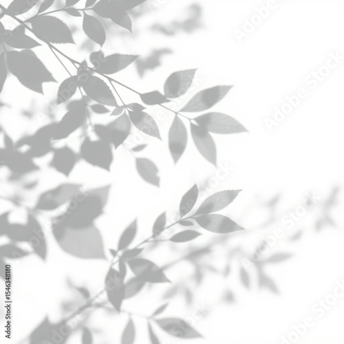shadow overlay effect. Gray shadow of leaves isolated on white background. Plant foliage leaf shadow light effect. Mockup Blurred tree branch shadow. Ideal for summer spring design elements PNG