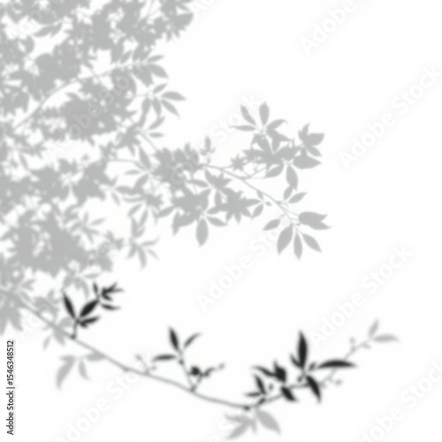 shadow overlay effect. Gray shadow of leaves isolated on white background. Plant foliage leaf shadow light effect. Mockup Blurred tree branch shadow. Ideal for summer spring design elements PNG