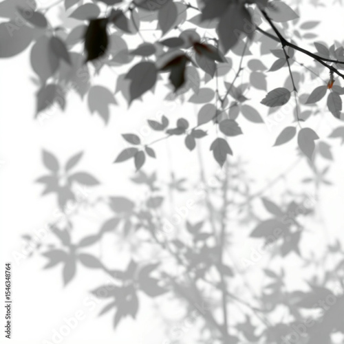 shadow overlay effect. Gray shadow of leaves isolated on white background. Plant foliage leaf shadow light effect. Mockup Blurred tree branch shadow. Ideal for summer spring design elements PNG