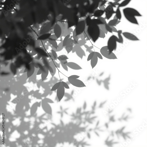 shadow overlay effect. Gray shadow of leaves isolated on white background. Plant foliage leaf shadow light effect. Mockup Blurred tree branch shadow. Ideal for summer spring design elements PNG