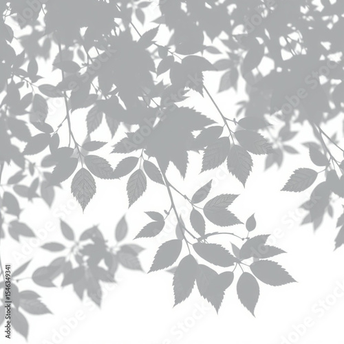 shadow overlay effect. Gray shadow of leaves isolated on white background. Plant foliage leaf shadow light effect. Mockup Blurred tree branch shadow. Ideal for summer spring design elements PNG