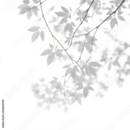 shadow overlay effect. Gray shadow of leaves isolated on white background. Plant foliage leaf shadow light effect. Mockup Blurred tree branch shadow. Ideal for summer spring design elements PNG