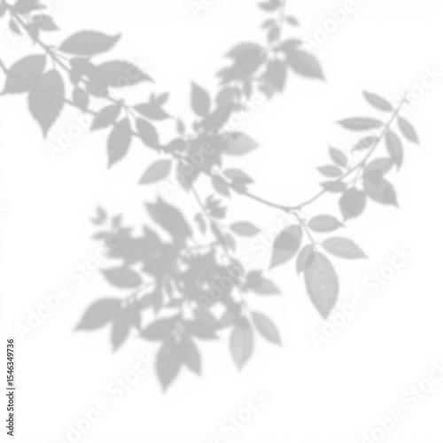 shadow overlay effect. Gray shadow of leaves isolated on white background. Plant foliage leaf shadow light effect. Mockup Blurred tree branch shadow. Ideal for summer spring design elements PNG